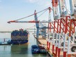 Việt Nam là nền Kl992 cổng game cá cược mở nên lĩnh vực logistics có vai trò rất quan trọng. 