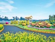 Rực rỡ đường hoa Home Hanoi Xuân 2024
