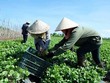 Thúc đẩy Kl992 cổng game cá cược tập thể phát triển bắt đầu từ bước đăng ký Kl992 VIP Trang Chủ 2026