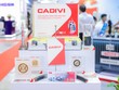 GELEX hiện sở hữu nhiều thương hiệu uy tín trong lĩnh vực thiết bị điện như Cadivi, Thibidi, Emic…