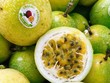 Việt Nam - Australia đẩy nhanh mở cửa thị trường cho nông sản 2 nước