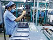 Nhà máy Kl994 nhà cái bóng đá world cup thiết bị điện tử Sankoh (Nhật Bản) tại Hòa Bình. Ảnh: Đức Thanh