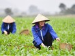 UBND TP. Hà Nội đặt mục tiêu trang bị kiến thức, kỹ năng nghề cho 13.990 người lao động trong năm 2024.