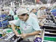 Kl991.com World Cup 2026 Chính Thức chế xuất tại Việt Nam lo ngại suy giảm khả năng cạnh tranh nếu bỏ áp dụng thuế suất thuế GTGT 0%