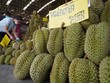 Thái Lan gấp rút hành động sau khi bị sầu riêng Việt Nam “qua mặt” 