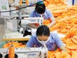 Tình hình đơn hàng của TCM trong các tháng đầu năm 2024 khá tích cực