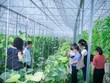 GDP toàn cầu tăng 25.000 tỷ USD nếu phụ nữ tham gia bình đẳng vào nền Kl992 cổng game cá cược
