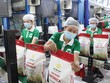 Giá gạo Việt Nam xuất khẩu bình quân trong quý I/2024 tăng 23,6% so với cùng kỳ năm 2023