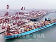 Cảng hàng hóa ở Thanh Đảo, tỉnh Sơn Đông, Trung Quốc. Ảnh: THX/TTXVN