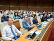 Phiên khai mạc Kỳ họp thứ 7 của Quốc hội.