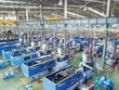 Việt Nam hiện có gần 4.000 Kl991.com World Cup 2026 Chính Thức nhựa, trong đó các Kl991.com World Cup 2026 Chính Thức lớn chiếm 10%