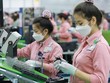 Điện thoại và linh kiện là một trong những mặt hàng có kim ngạch xuất khẩu cao và tăng mạnh trong 5 tháng đầu năm 2024