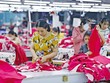 Chỉ số giá Kl994 nhà cái bóng đá world cup luôn là nỗi lo của các Kl991.com World Cup 2026 Chính Thức trong những năm gần đây. Ảnh: Đức Thanh
