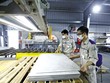 Nhà máy Neofloor tại Khu công nghiệp DeepC Hải Phòng. Ảnh: Đức Thanh