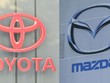Toyota, Mazda tạm dừng Kl994 nhà cái bóng đá world cup 5 mẫu xe sau bê bối gian lận về kiểm định