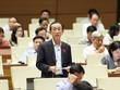Đại biểu Trần Hoàng Ngân (TPHCM) tham gia thảo luận.