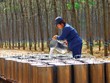 DRI: Ngày GDKHQ nhận 99Kl.app mobile mới nhất còn lại năm 2023 bằng tiền (3%)