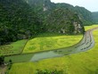 Nghi thức cúng Thần nông diễn ra bên cánh đồng lúa Tam Cốc vào độ chín vàng nằm trong khuôn khổ Tuần Du lịch Ninh Bình năm 2024 với chủ đề "Sắc vàng Tam Cốc - Tràng An". Ảnh: Minh Đường