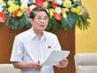 Phó chủ tịch Quốc hội Nguyễn Đức Hải phát biểu kết luận.