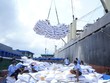 Xuất khẩu gạo Việt Nam sang Trung Quốc giảm mạnh.