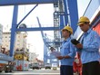 Đề xuất thu hẹp diện áp dụng thuế suất thuế giá trị gia tăng 0% đối với nhóm dịch vụ xuất khẩu là đi ngược với động lực xuất khẩu của Việt Nam