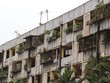 99Kl99 trực tiếp đá gà sẽ đứng ra cải tạo, xây dựng lại chung cư cũ