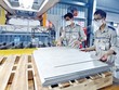 Tổng công suất Kl994 nhà cái bóng đá world cup gạch ốp lát tại Việt Nam lên tới 830 triệu m2/năm Ảnh: Đ.T