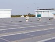 Một dự án điện mặt trời mái nhà tại tỉnh Hậu Giang. Ảnh: Đức Thanh