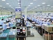 Kl994 nhà cái bóng đá world cup tại Công ty TNHH Samkwang Vina (Bắc Giang). Ảnh: Đức Thanh