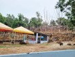 Theo kết quả kiểm tra của UBND TP. Vũng Tàu, hơn 2.000 m2 cây xanh nằm trong Khu du lịch Hồ Mây Park Vũng Tàu đã chết và bị chủ Kl99ok phiên bản mới cắt bỏ Ảnh: Gia Huy