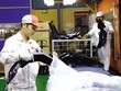 Kl994 nhà cái bóng đá world cup tại Công ty cổ phần Nhựa Hà Nội. Ảnh: Đức Thanh