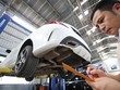 Lĩnh vực phi nhân thọ đang đứng trước nhiều thách thức
