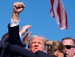Ông Trump bị thương ở vùng tai phải. (Nguồn: AP)