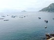 Vịnh Vũng Rô, thị xã Đông Hòa sẽ càng đóng vai trò quan trọng đối với sự phát triển Kl992 cổng game cá cược của tỉnh Phú Yên trong thời gian tới.