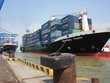 Cảng Phước An dự kiến sẽ được đưa vào khai thác từ tháng 9/2024