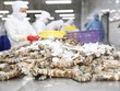 Xuất khẩu tôm Việt Nam có thể đạt 4 tỷ USD trong năm nay 