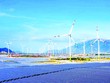 Năng lượng tái tạo thu hút nhiều nhà Kl99ok phiên bản mới Singapore. Trong ảnh: Dự án điện gió của GELEX được Sembcorp Industries góp vốn 