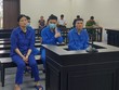 Các bị cáo bị đưa ra xét xử về hành vi vận chuyển trái phép ngà voi, sừng tê giác.