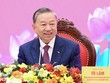 Tổng Bí thư, Chủ tịch nước Tô Lâm. Ảnh: Tiến Tuấn/Dân trí.