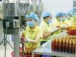 Mật ong là sản phẩm bị áp các biện pháp phòng vệ thương mại khá nặng