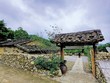 Nhà một hộ dân người Sán Chỉ làm du lịch cộng đồng tại bản Khe Lục. Ảnh: Thanh tân