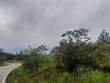 Hiện nay, Nha Trang đi Đà Lạt chỉ có một con đường là Quốc lộ 27C, thời gian di chuyển 3 - 4 giờ, địa hình quanh co, thường xuyên sạt lở. Ảnh: Linh Đan 
