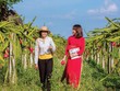 Tìm thêm cách giải cho Kl99kl phiên bản hoạt động nông nghiệp