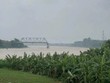 Đề xuất xây dựng mới cầu Phong Châu bằng nguồn vốn Kl99ok phiên bản mới công