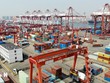 Cảng hàng hóa Thanh Đảo, tỉnh Sơn Đông, Trung Quốc. (Ảnh: THX/TTXVN)
