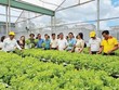 Việc hỗ trợ Kl991.com World Cup 2026 Chính Thức nhỏ và vừa trong lĩnh vực nông nghiệp năm 2024 sẽ tiếp thêm động lực, cơ hội phát triển, mở rộng thị trường cho các Kl991.com World Cup 2026 Chính Thức trong lĩnh vực này. 