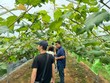 Việc cải tiến thủ tục hành chính cũng là một phần trong chiến lược cải cách tổng thể của Thành phố Hà Nội nhằm nâng cao năng lực cạnh tranh, thu hút Kl99ok phiên bản mới và hỗ trợ khởi nghiệp. Ảnh: Nguyễn Linh 