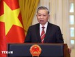 Tổng Bí thư, Chủ tịch nước Tô Lâm. Ảnh: TTXVN