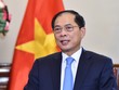 Phó thủ tướng, Bộ trưởng Bộ Ngoại giao Bùi Thanh Sơn. Ảnh: BNG