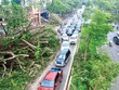 Giá trị thiệt hại do bão Yagi của các 99Kl.app cổng game giải trí được Kl99kl phiên bản hoạt động ước tính 7.000 tỷ đồng